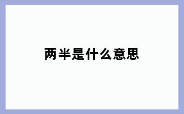 两半是什么意思