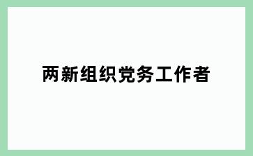 两新组织党务工作者