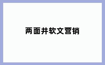 两面井软文营销