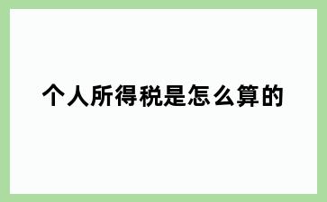 个人所得税是怎么算的