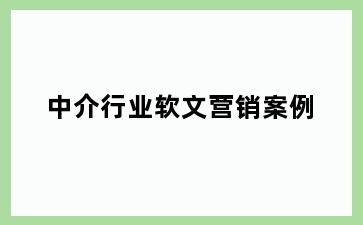 中介行业软文营销案例