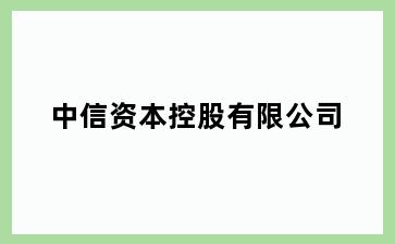 中信资本控股有限公司