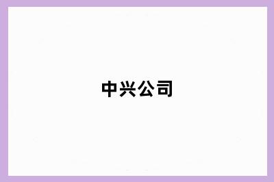 中兴公司