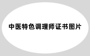 中医特色调理师证书图片