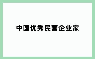 中国优秀民营企业家