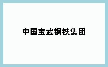 中国宝武钢铁集团