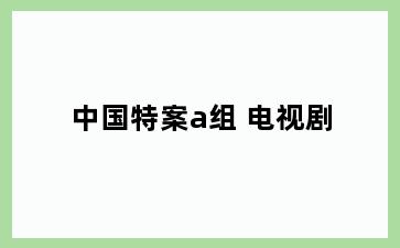 中国特案a组 电视剧