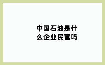 中国石油是什么企业民营吗
