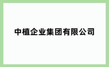 中植企业集团有限公司