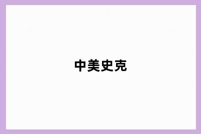 中美史克