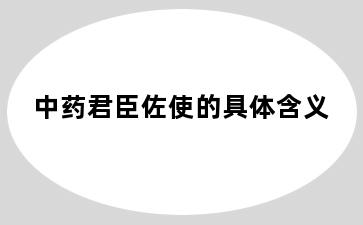 中药君臣佐使的具体含义