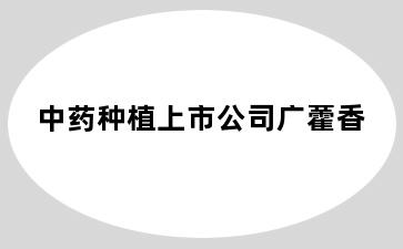中药种植上市公司广藿香