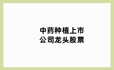 中药种植上市公司龙头股票