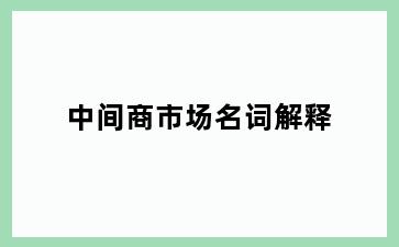 中间商市场名词解释