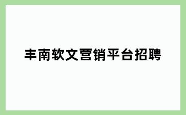 丰南软文营销平台招聘
