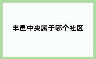 丰邑中央属于哪个社区