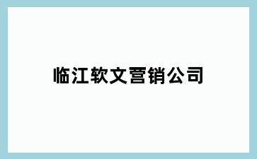临江软文营销公司