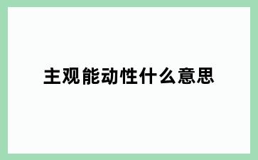 主观能动性什么意思