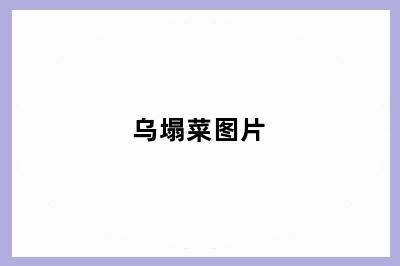 乌塌菜图片