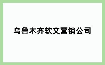 乌鲁木齐软文营销公司