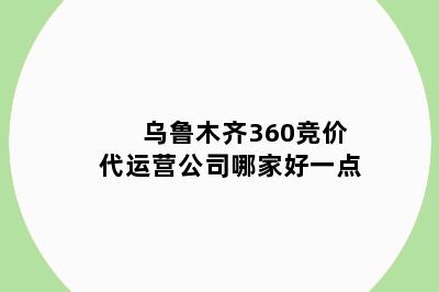 乌鲁木齐360竞价代运营公司哪家好一点