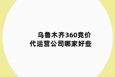 乌鲁木齐360竞价代运营公司哪家好些