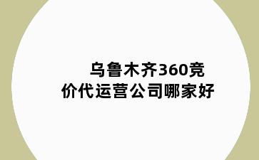 乌鲁木齐360竞价代运营公司哪家好