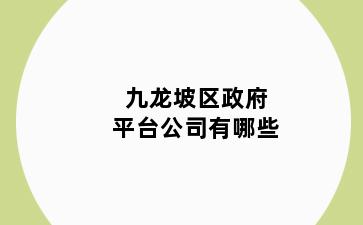 九龙坡区政府平台公司有哪些
