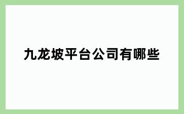 九龙坡平台公司有哪些