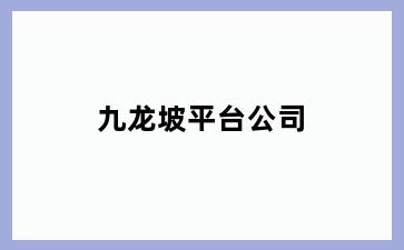 九龙坡平台公司