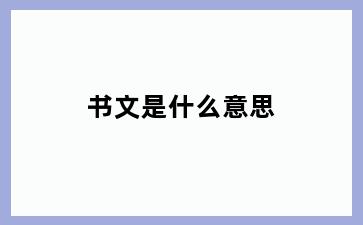 书文是什么意思