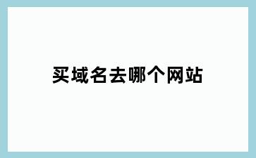 买域名去哪个网站