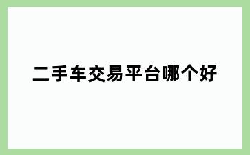 二手车交易平台哪个好