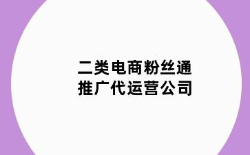 二类电商粉丝通推广代运营公司