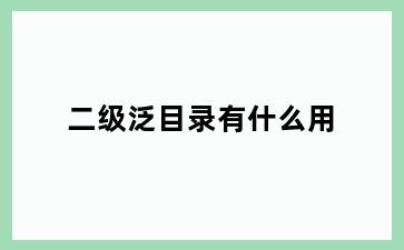 二级泛目录有什么用