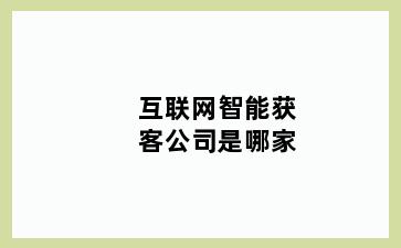 互联网智能获客公司是哪家