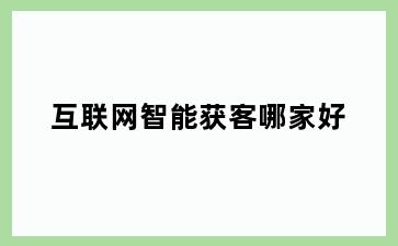 互联网智能获客哪家好