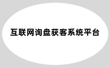 互联网询盘获客系统平台