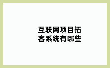 互联网项目拓客系统有哪些