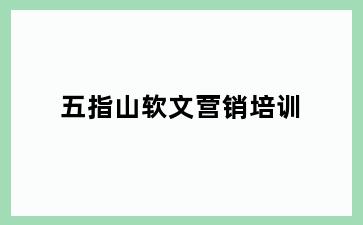 五指山软文营销培训