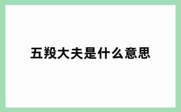 五羖大夫是什么意思