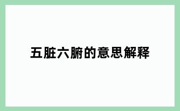 五脏六腑的意思解释