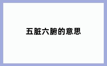 五脏六腑的意思