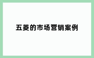 五菱的市场营销案例