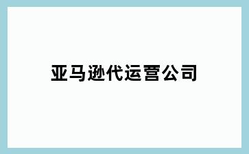 亚马逊代运营公司