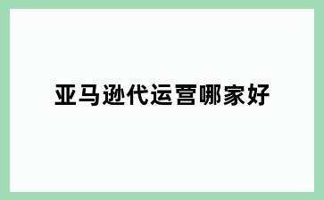 亚马逊代运营哪家好