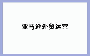 亚马逊外贸运营