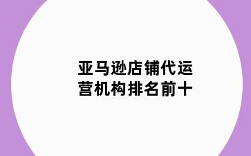 亚马逊店铺代运营机构排名前十