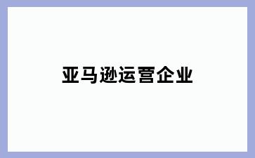 亚马逊运营企业