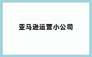 亚马逊运营小公司